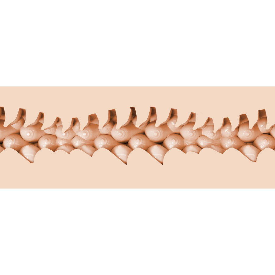 FLESHLIGHT FANTASY - EVIE AKASHIYA VAGINA